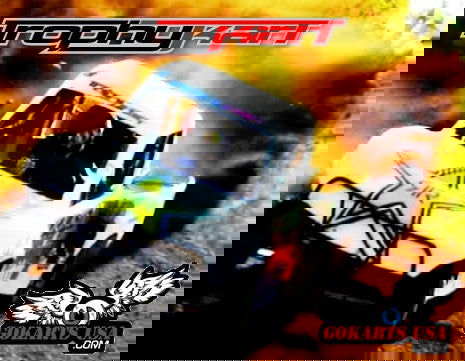 Trophy Kart Elite 250 Truck Race Go Kart - Powersports Warehouse