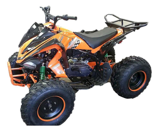 Typhoon DF200 ATV, CVT Automatic with Reverse, 8 inch Wheels - Powersports Warehouse