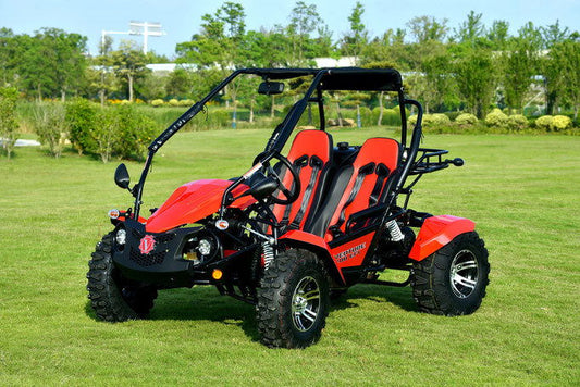 Venture 200 EFI Buggy Go Kart, CVT Transmission with Reverse, Lights, Alloy Wheels - Powersports Warehouse