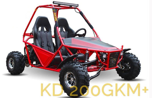 Viper 200 Buggy Go Kart, CVT Trans with Reverse, Alloy Wheels, Lights - Powersports Warehouse