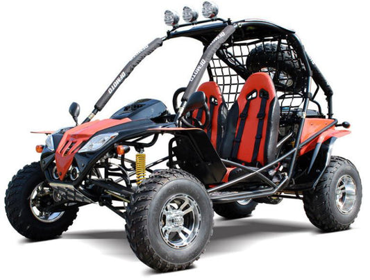 Warrior 200 Dune Buggy - Powersports Warehouse