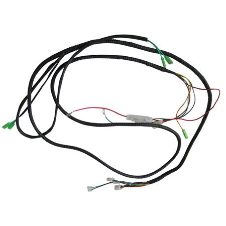 Wiring Harness, for ASW Carbide 150 Buggy Go Kart - Powersports Warehouse